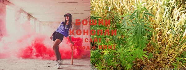 твердый Богородицк