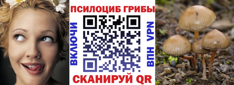 Галлюциногенные грибы Psilocybine cubensis  Челябинск 